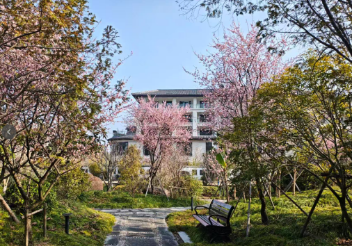 D2：红豆杉苑 → 临海长城 → 紫阳古街 → 返回