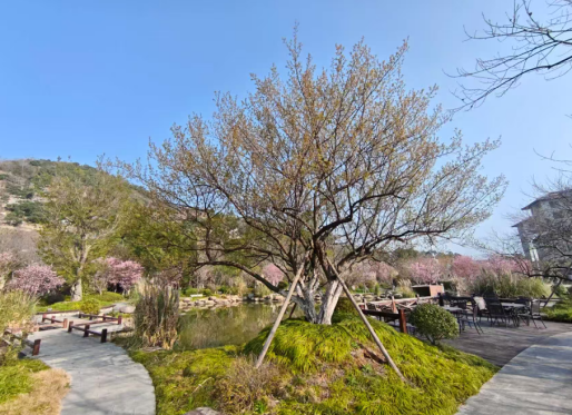 D2：红豆杉苑 → 临海长城 → 紫阳古街 → 返回