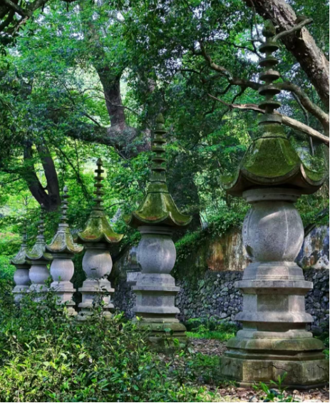D4：红豆杉苑 → 国清寺 → 和合文化园 → 返回