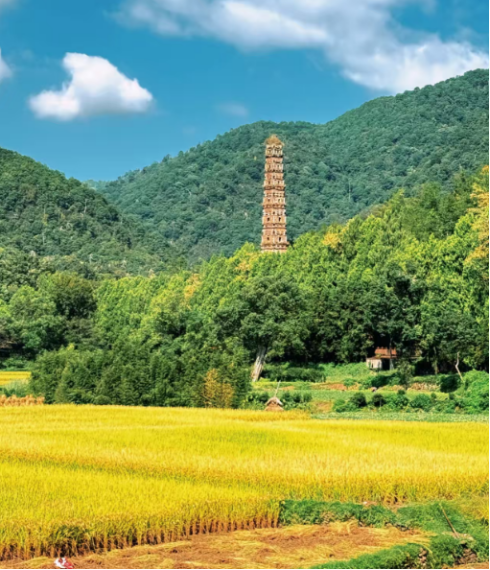 D4：红豆杉苑 → 国清寺 → 和合文化园 → 返回