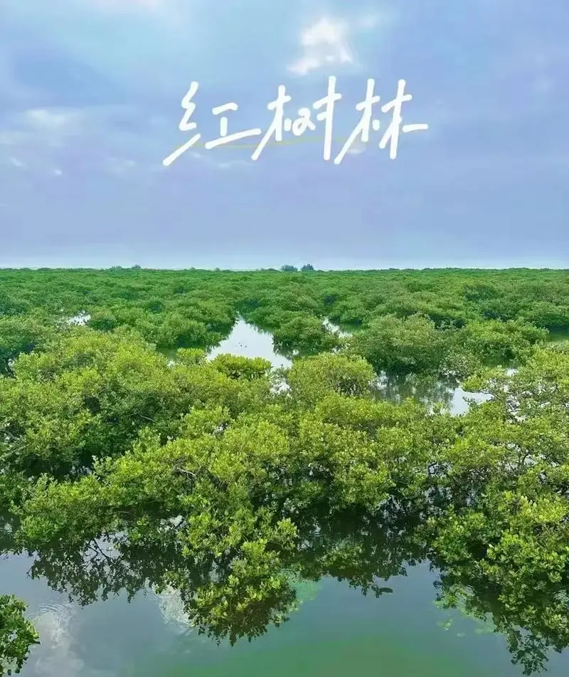 D4：红树林 → 布透温泉