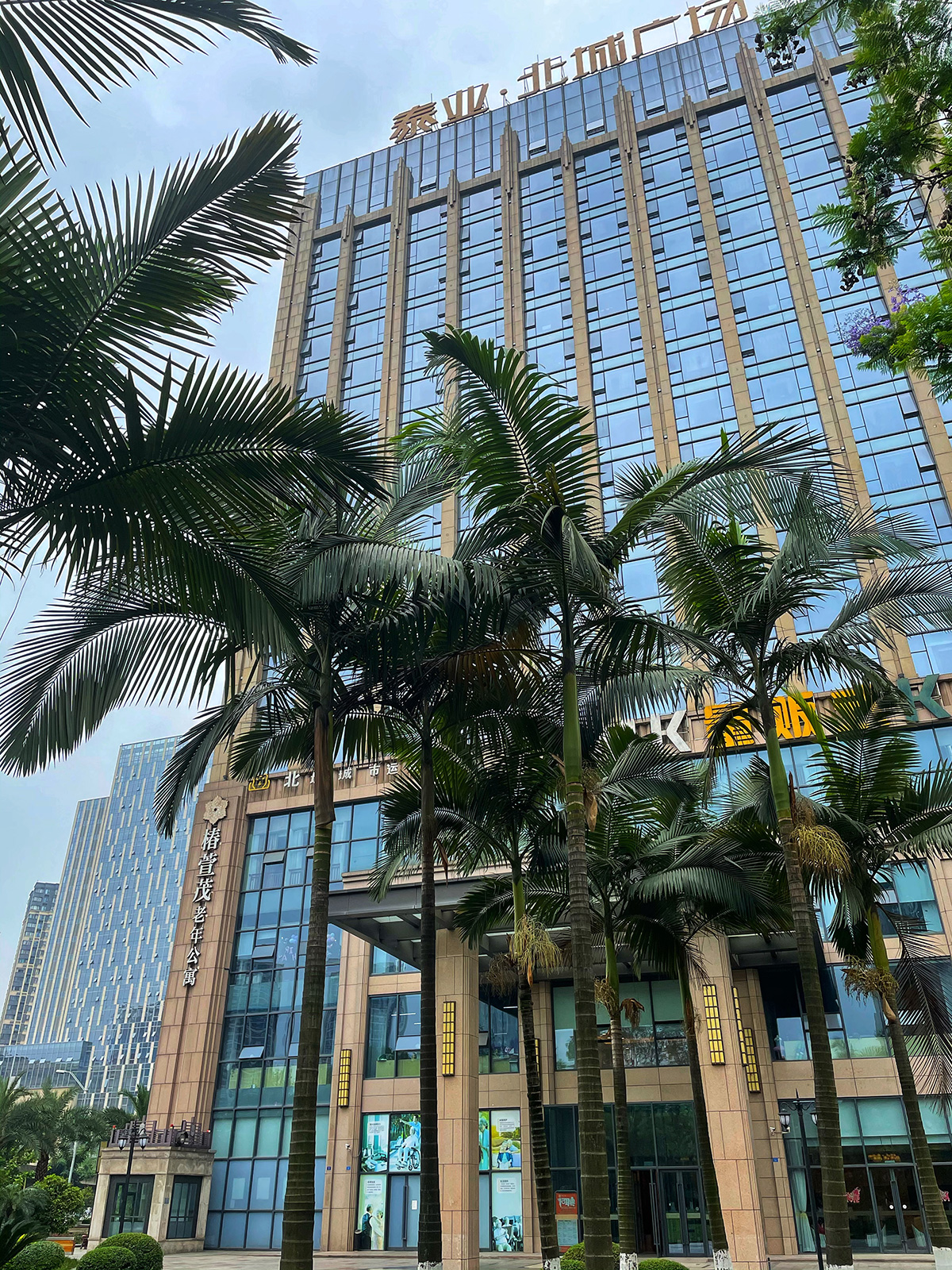成都市椿萱茂（成都中环北）老年公寓